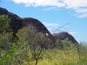 Still not a Bungle in sight but we found cute Elephant Rocks 🐘