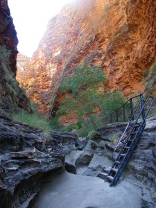 The track to Cathedral Gorge