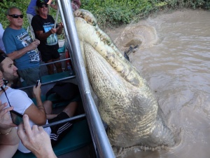 When this massive croc submerged, we all got soaked 💦