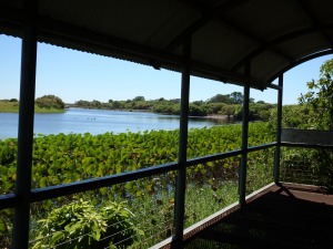 A crocodile viewing hide 🐊 That 'barrage' crossing is the barrier between salt water and freshwater, 40 is down from the mouth of Van Dieman's Gulf
