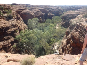 The top of the Canyon was crazy, behind the edges were ancient domes like the Bungle Bungles as well as Australia's own version of The Garden on Eden